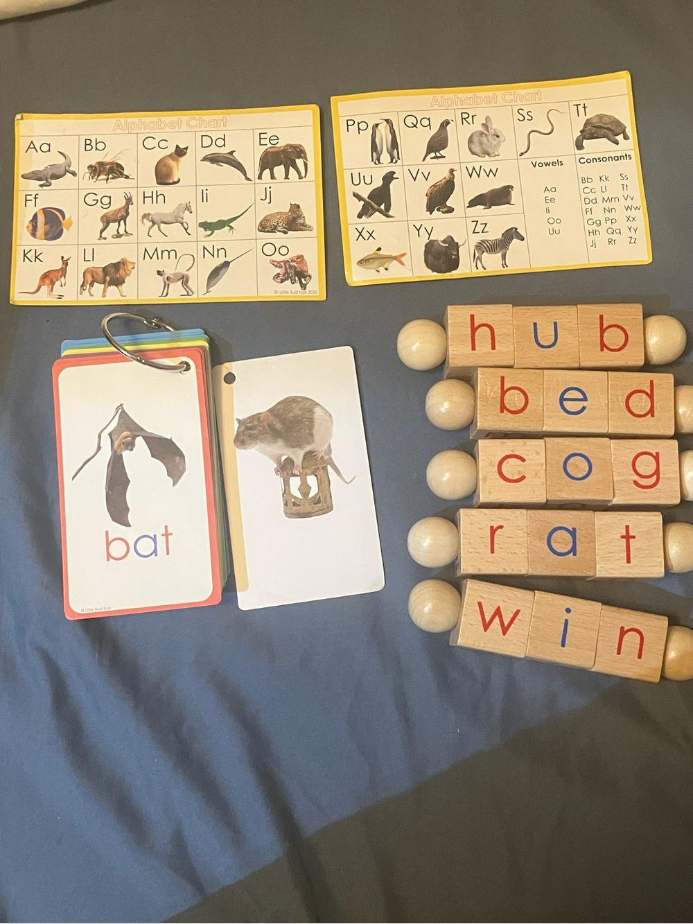 Montessori Learn to Read Spin Blocks